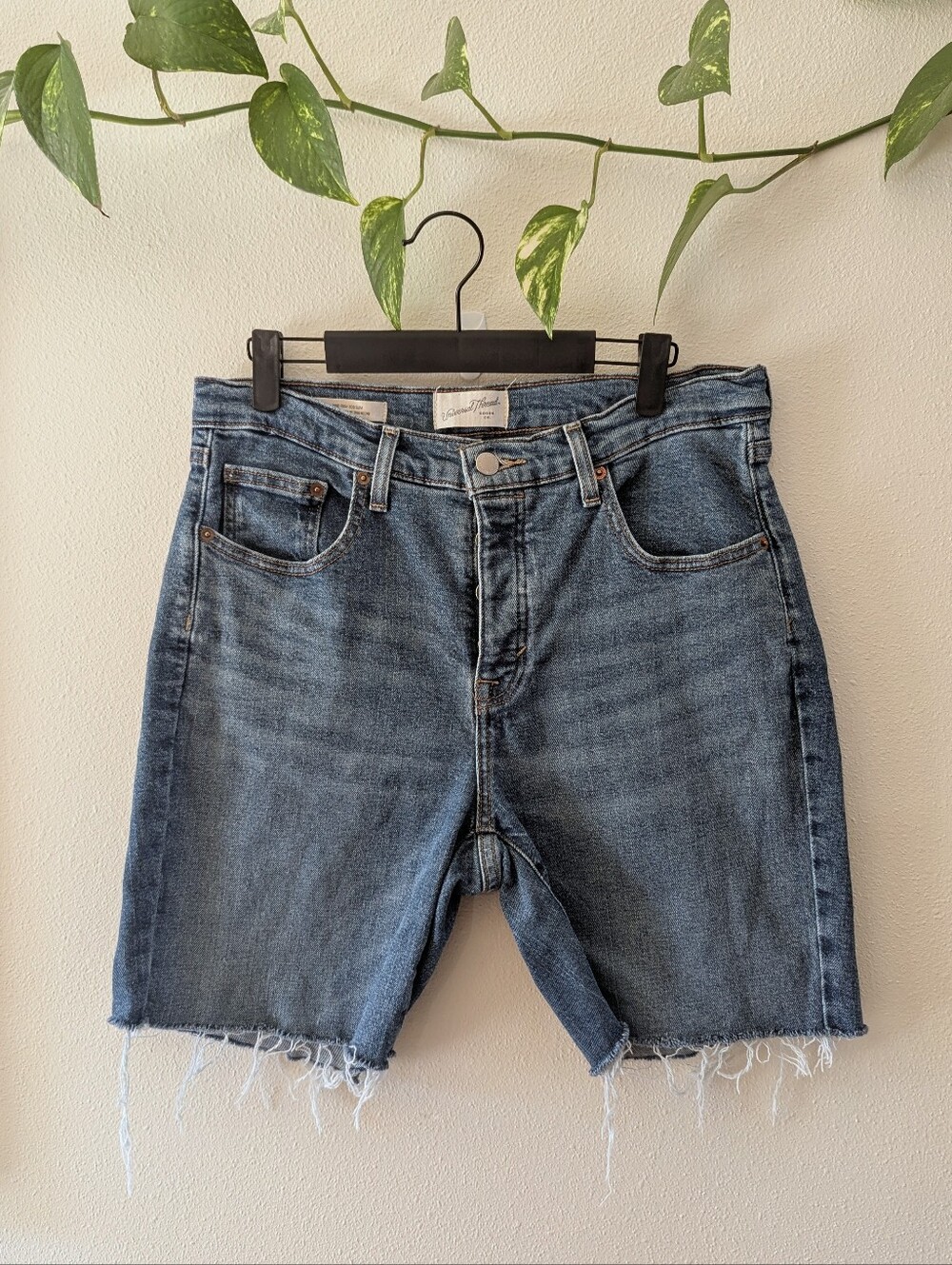 Universal Thread Medium Wash Cutoffs